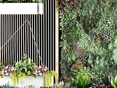 现代绿植墙 绿植 藤蔓植物