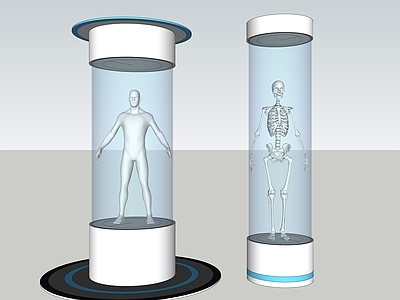 现代风格医用人体 骨骼