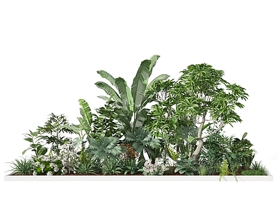 植物堆 盆景 园林