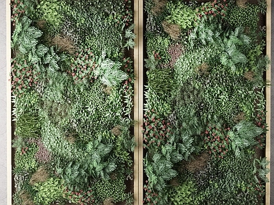 现代植物 户外花草 墙挂植物 植物花草