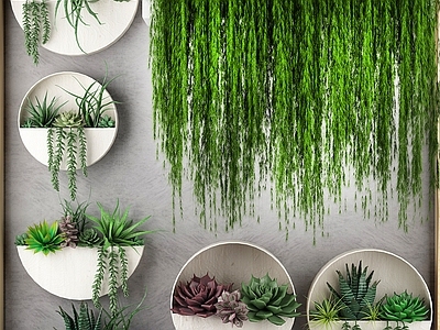现代植物 户外花草 墙挂植物