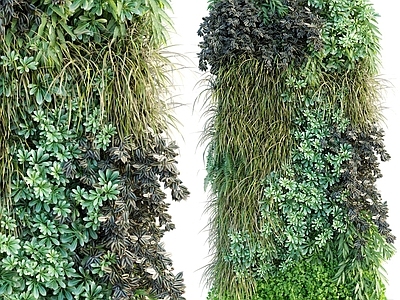 现代植物墙 墙