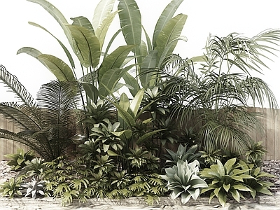 现代室外植物堆 植物 灌木组合