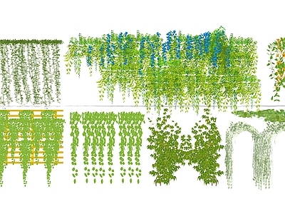 现代风格藤蔓植物攀缘植物攀爬植物 爬藤 墙 墙 爬虎 迎春花 墙