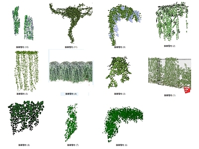 现代风格藤蔓植物攀缘植物攀爬植物 藤蔓廊架 爬藤植物 绿植墙 植物墙 爬山虎 迎春花 绿植墙