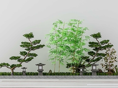 中式盆景