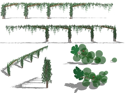 现代风格树木 葡萄藤 墙