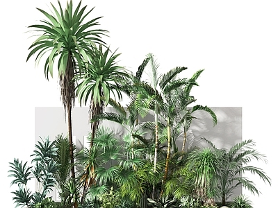 现代盆栽 植物 绿植 植物堆 绿植堆 景观 园林 美陈 盆景 盆栽 橱窗