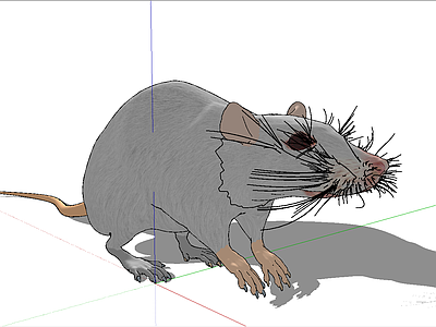 现代风格爬行类动物 老鼠
