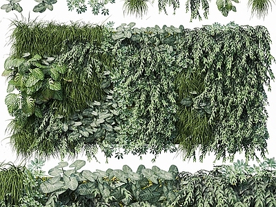 现代盆栽植物