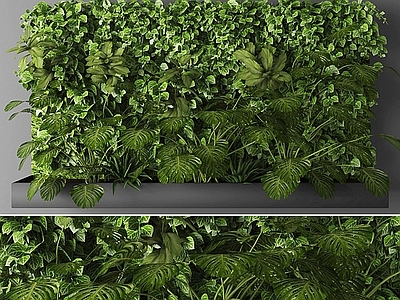 现代植物盆栽