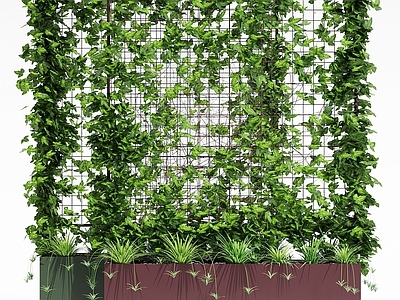现代绿植墙 花池