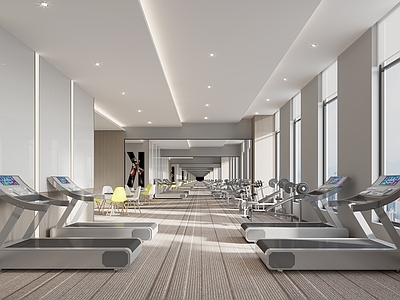 现代健身房 跑步机 器材 镜子 地毯