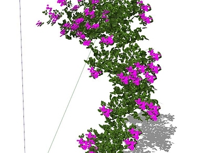 现代风格迎春花