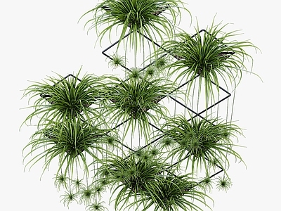 现代绿植墙