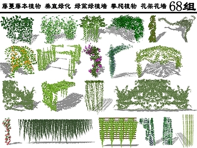 现代风格庭院景观 藤蔓藤本植物 垂直绿化 绿植墙