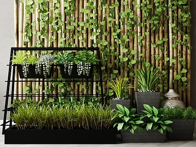 现代绿植墙组合