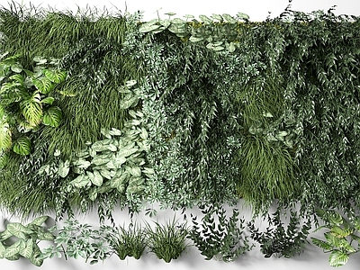 现代植物墙 植物挂件 绿植挂件 置物架 花草 盆栽