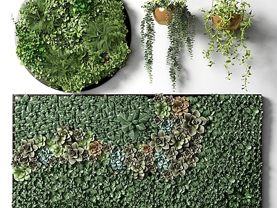 现代植物墙 植物 植物 花草