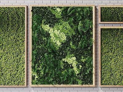 现代苔藓植物墙
