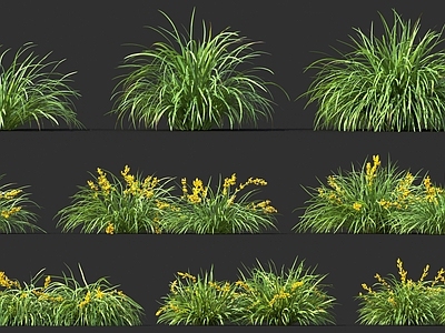现代花草