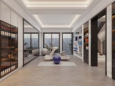 新中式健身房 健身器材 雪茄柜 跑步机