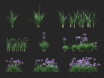 现代花草