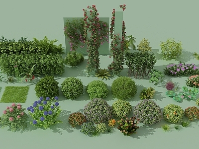 现代灌木 花草 藤蔓 墙 草地 植物