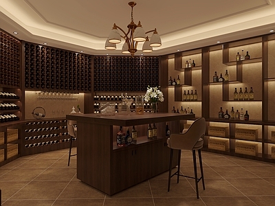 现代酒窖 酒柜