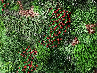 现代植物 盆栽 户外花草 墙挂植物 绿植