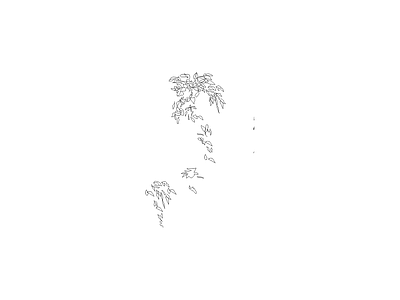 乔木种植 植物图块