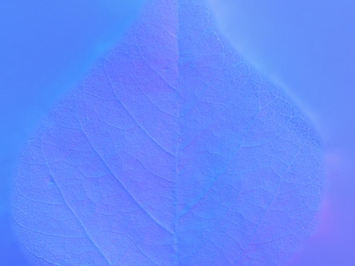 其他法线