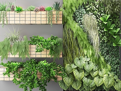 现代植物盆栽 花草 墙挂植物