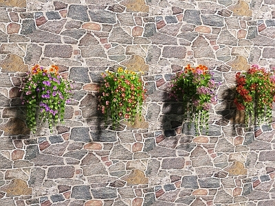 现代盆栽 花草