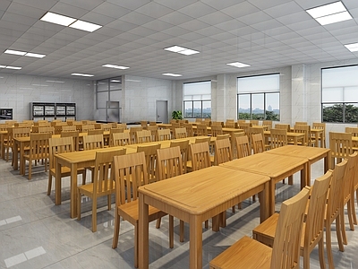 现代学校食堂
