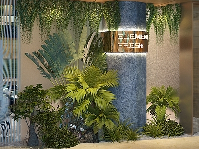 植物堆 花卉