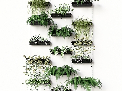 现代植物墙