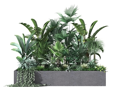 现代植物堆 美陈 橱 植物