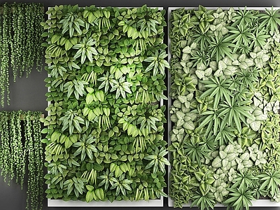 现代绿植墙 植物盆栽 墙挂植物