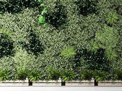现代绿植 植物 墙