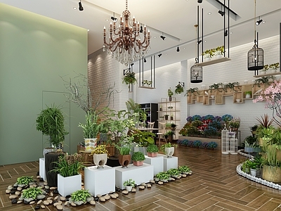 北欧花店 绿植