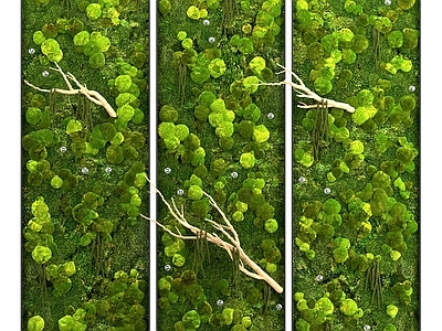 现代植物墙