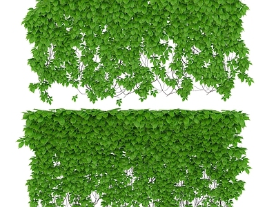 现代绿植墙 藤蔓 爬山虎