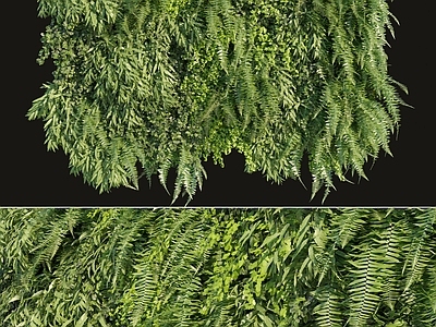 现代绿植墙 背景墙