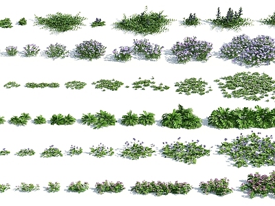 现代花草