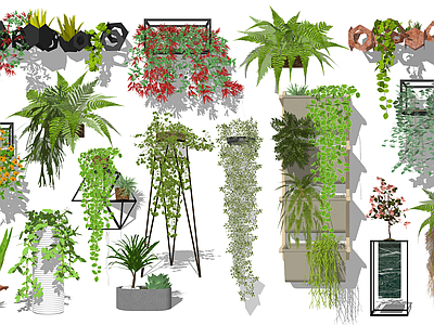 现代盆栽 吊篮 绿植墙 花篮