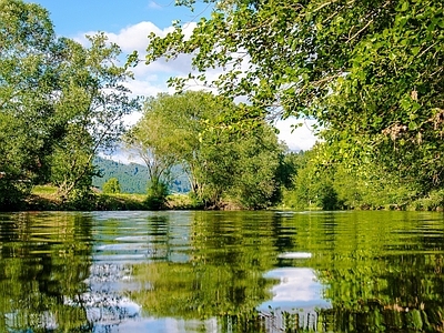 户外风景 绿树 湖水