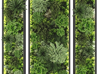 现代绿植墙