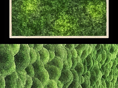 现代绿植墙 苔藓球