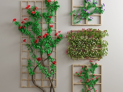 现代绿植 植物